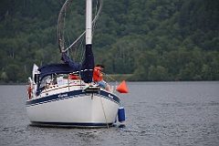 IMG_9990 (2)